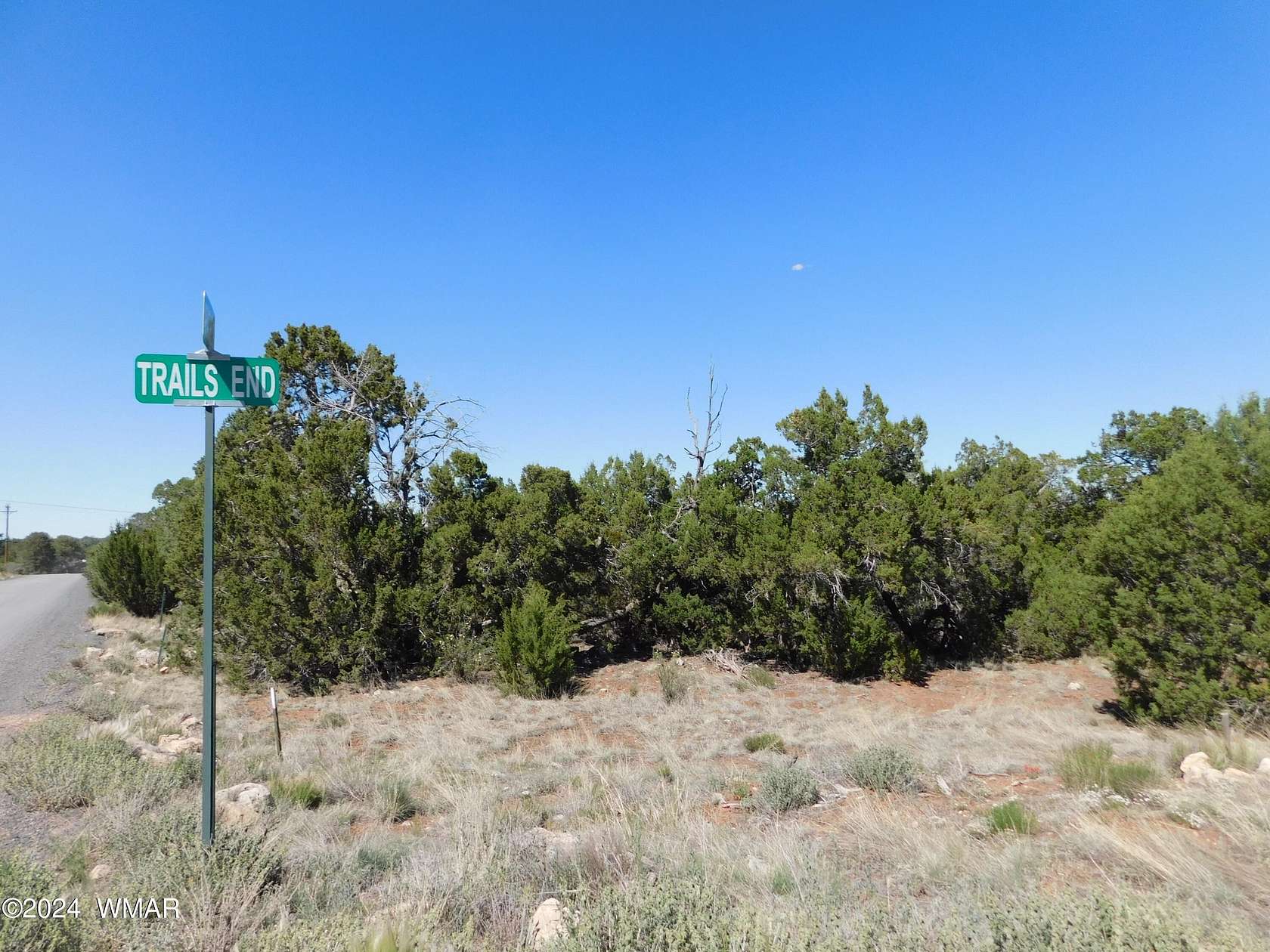 1 Acre of Residential Land for Sale in Overgaard, Arizona