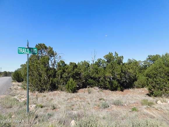 1 Acre of Residential Land for Sale in Overgaard, Arizona