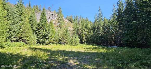 15.5 Acres of Land for Sale in Sagle, Idaho