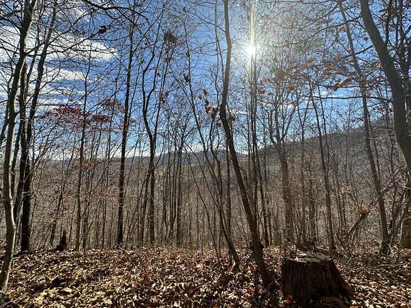 8.7 Acres of Land for Sale in Fourmile, Kentucky