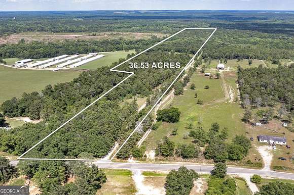36.5 Acres of Land with Home for Sale in Roberta, Georgia