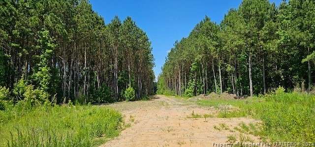 10.15 Acres of Land for Sale in Wade, North Carolina