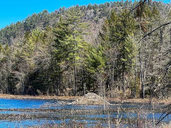 51 Acres of Recreational Land & Farm for Sale in Hartford, Maine