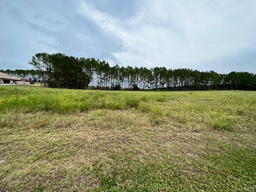 2.4 Acres of Residential Land for Sale in Inverness, Florida