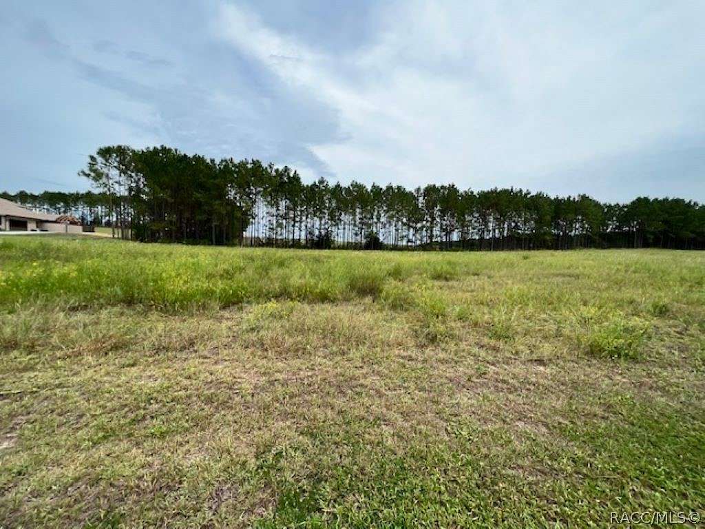 2.38 Acres of Residential Land for Sale in Inverness, Florida