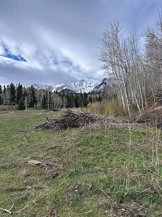 5.2 Acres of Land for Sale in Placerville, Colorado