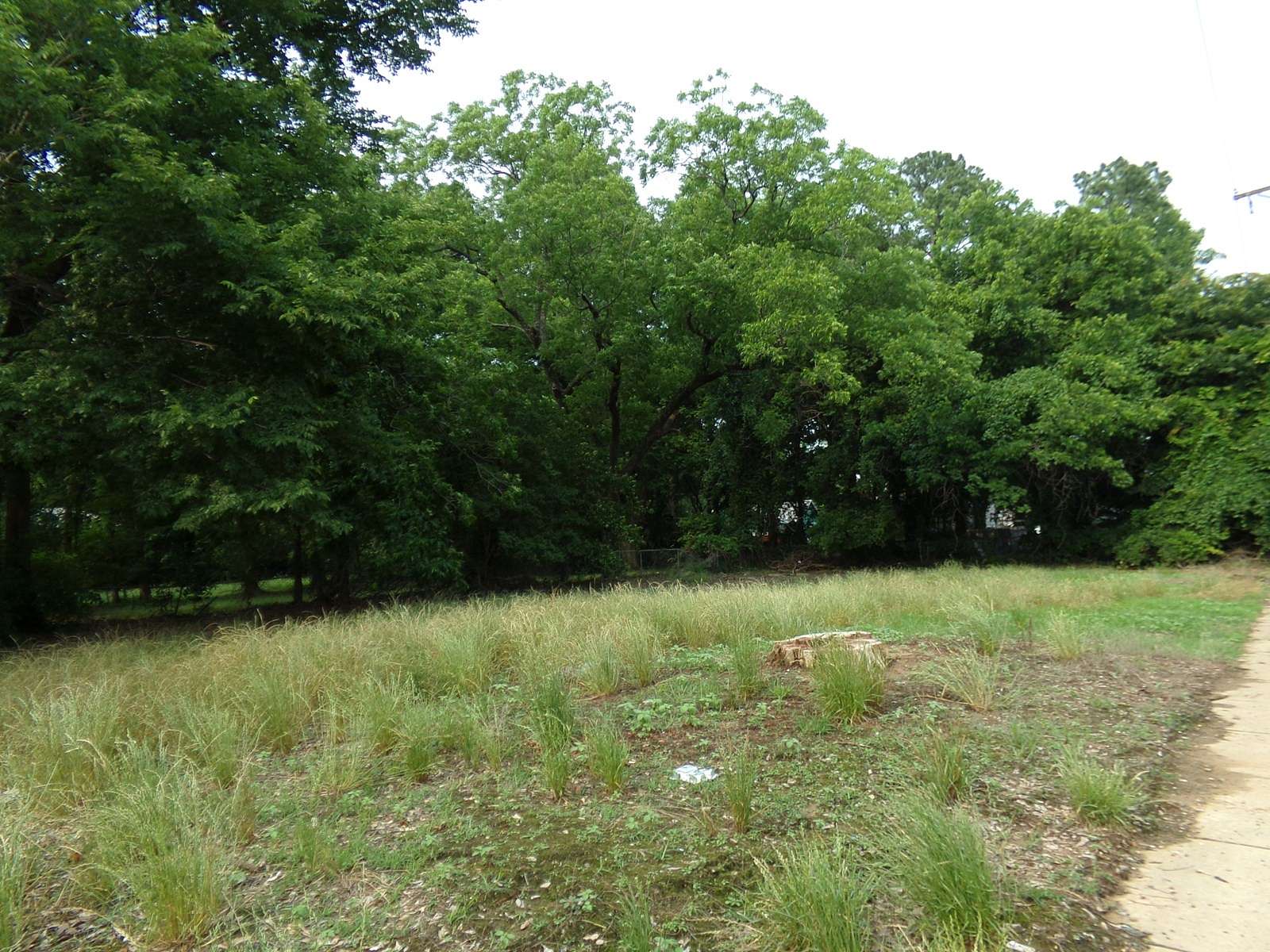 0.17 Acres of Residential Land for Sale in Paris, Texas