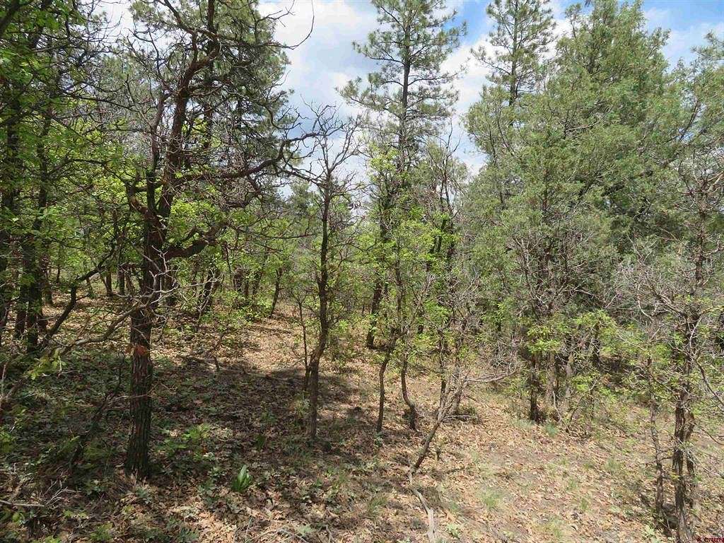 1.19 Acres of Residential Land for Sale in Pagosa Springs, Colorado