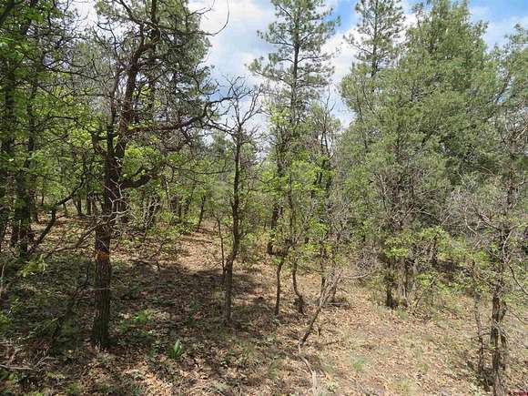 1.2 Acres of Residential Land for Sale in Pagosa Springs, Colorado