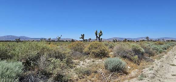 1.148 Acres of Residential Land for Sale in Palmdale, California