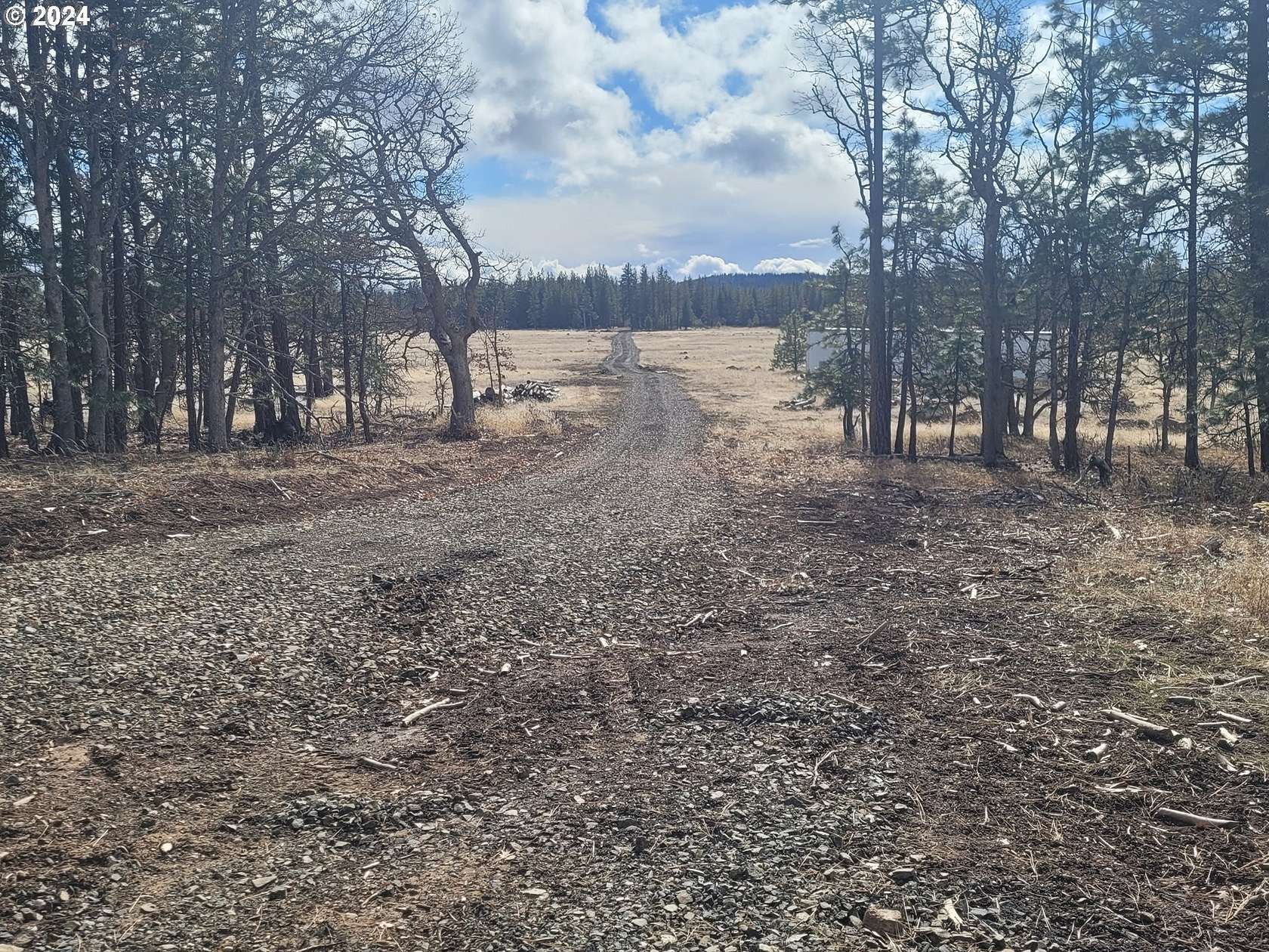 45.1 Acres of Recreational Land for Sale in Goldendale, Washington