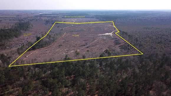 68.4 Acres of Land for Sale in North, South Carolina