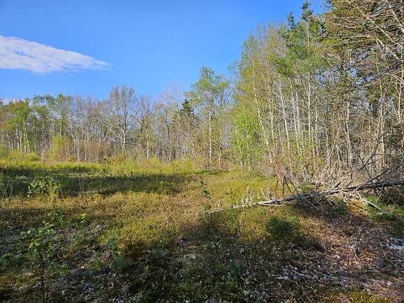 6.1 Acres of Residential Land for Sale in Dedham, Maine