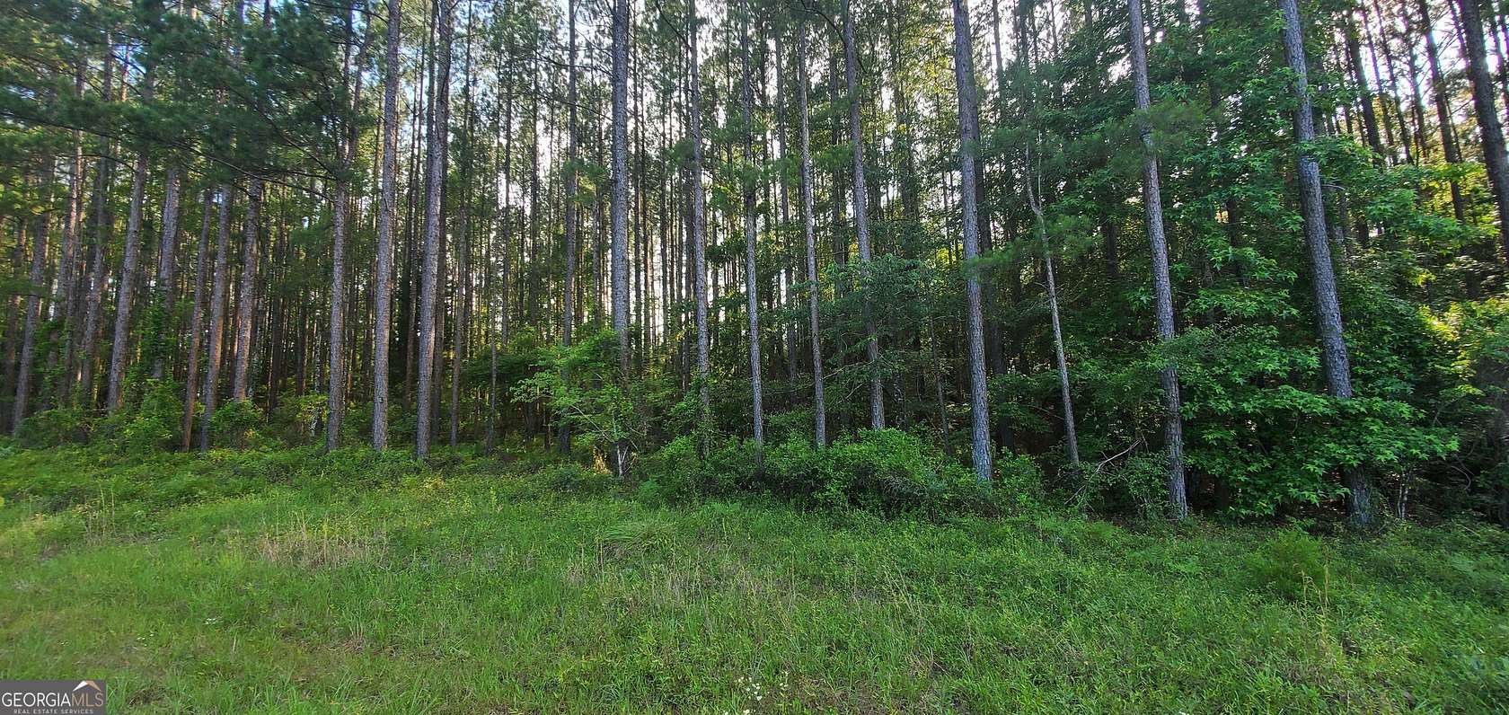 1 Acre of Residential Land for Sale in Lyons, Georgia