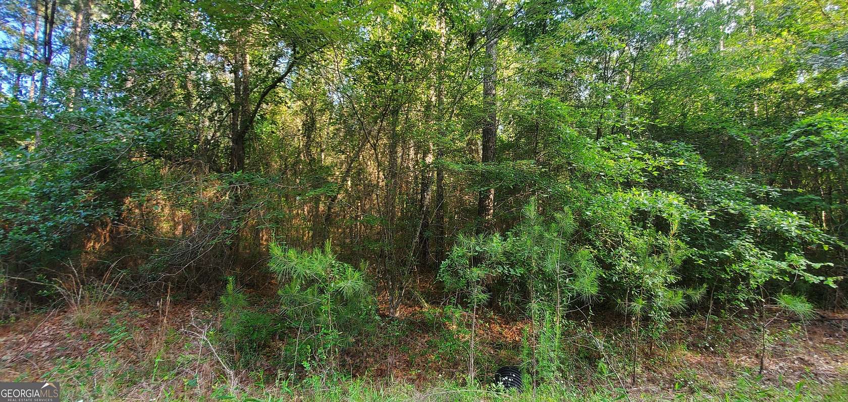 1.02 Acres of Residential Land for Sale in Lyons, Georgia