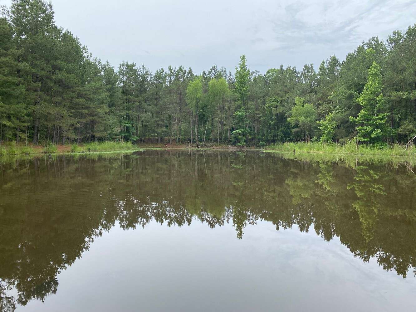 165 Acres of Recreational Land for Sale in Thornton, Arkansas