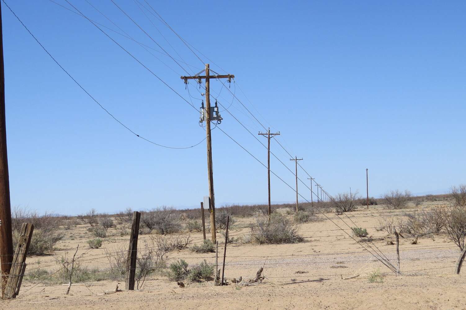 1,129 Acres of Land for Sale in Cotton City, New Mexico