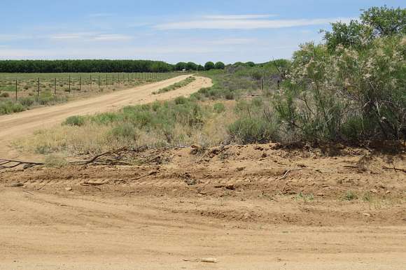 81.9 Acres of Land for Sale in Bowie, Arizona