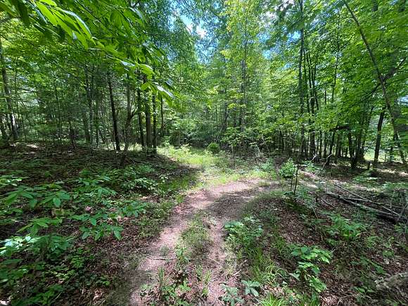 27 Acres of Recreational Land for Sale in Sunbright, Tennessee