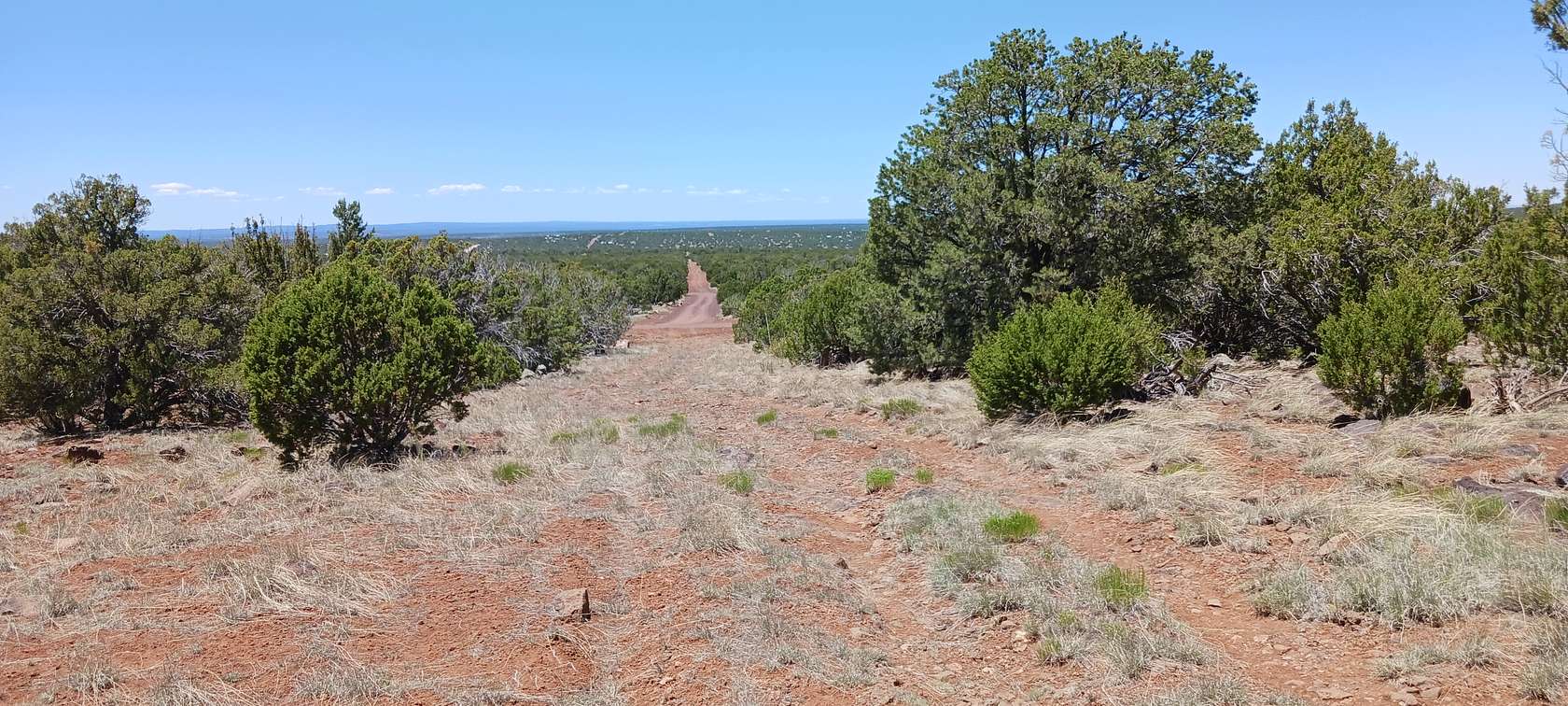 Residential Land for Sale in Concho, Arizona