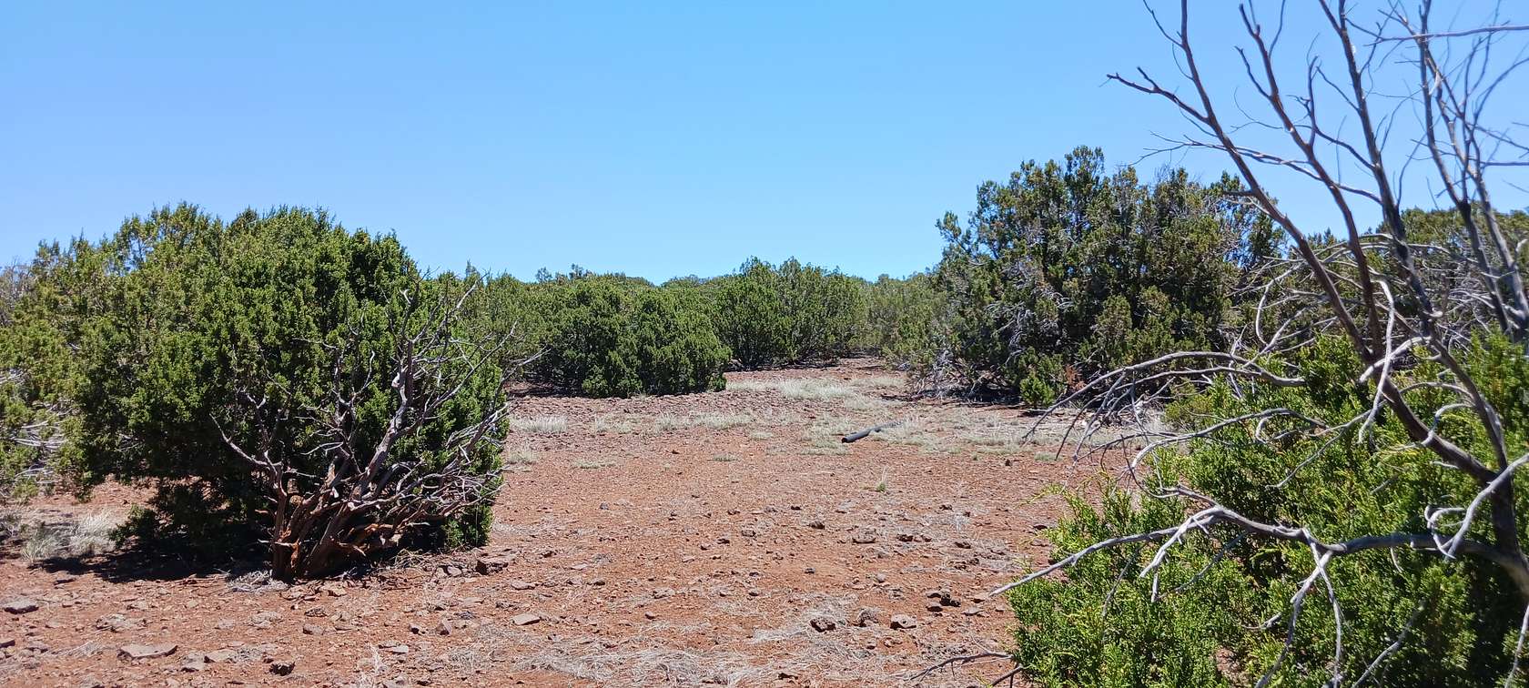 1.16 Acres of Residential Land for Sale in Concho, Arizona