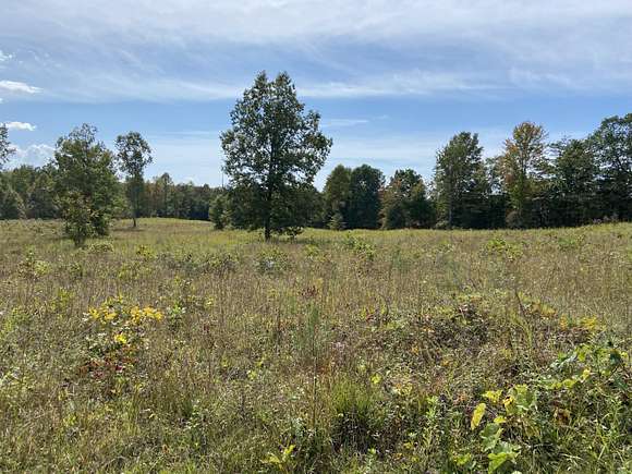 12 Acres of Land for Sale in Pine Knot, Kentucky