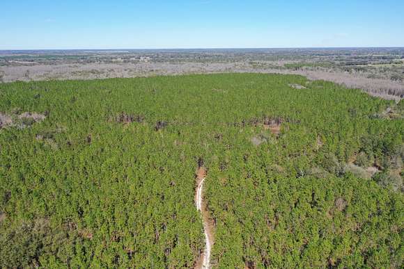 22,409 Acres of Land for Sale in Madison, Florida