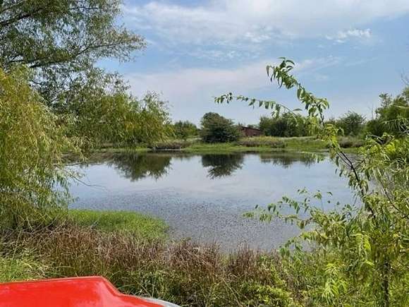 81.3 Acres of Recreational Land for Sale in Pattonville, Texas