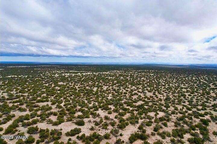80 Acres of Land for Sale in St. Johns, Arizona