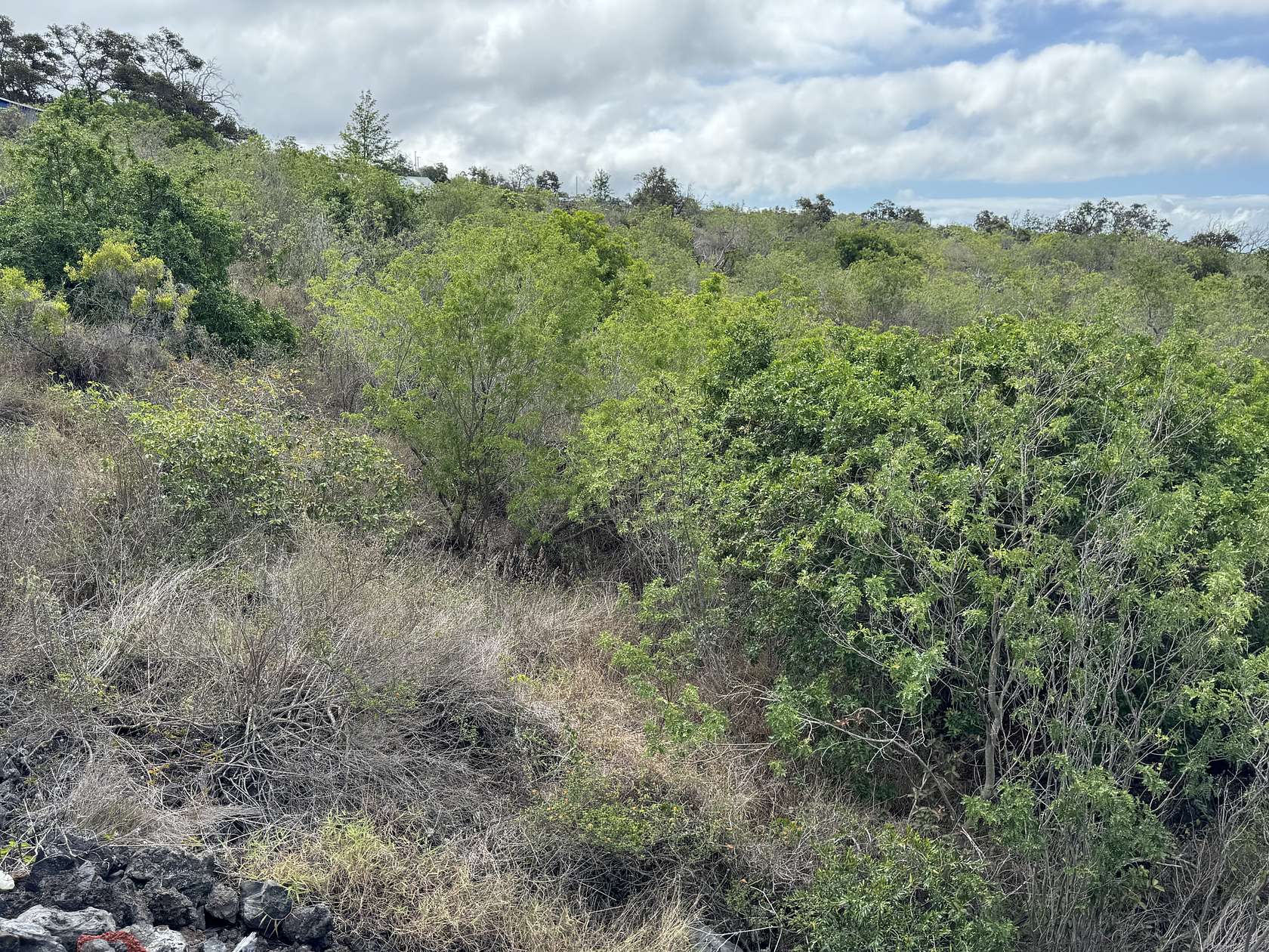 3 Acres of Land for Sale in Hawaiian Ocean View, Hawaii