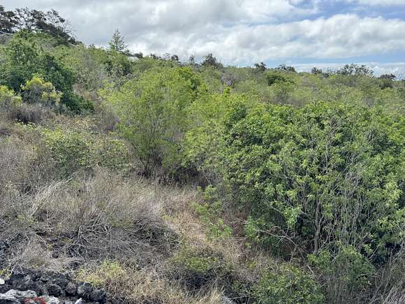 3 Acres of Land for Sale in Hawaiian Ocean View, Hawaii