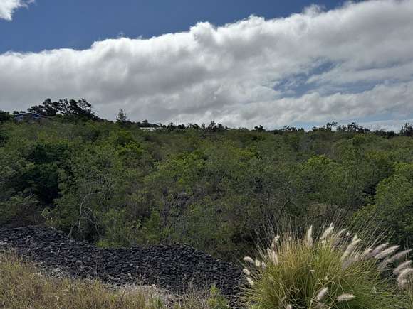 3 Acres of Land for Sale in Hawaiian Ocean View, Hawaii