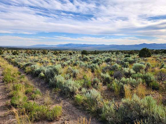 Land for Sale in Elko, Nevada