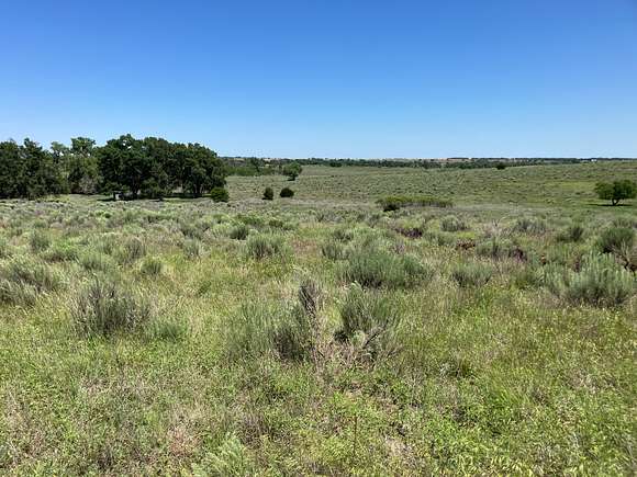 319 Acres of Recreational Land & Farm for Sale in Shamrock, Texas