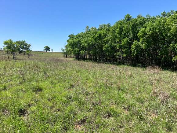 362 Acres of Recreational Land & Farm for Sale in Shamrock, Texas
