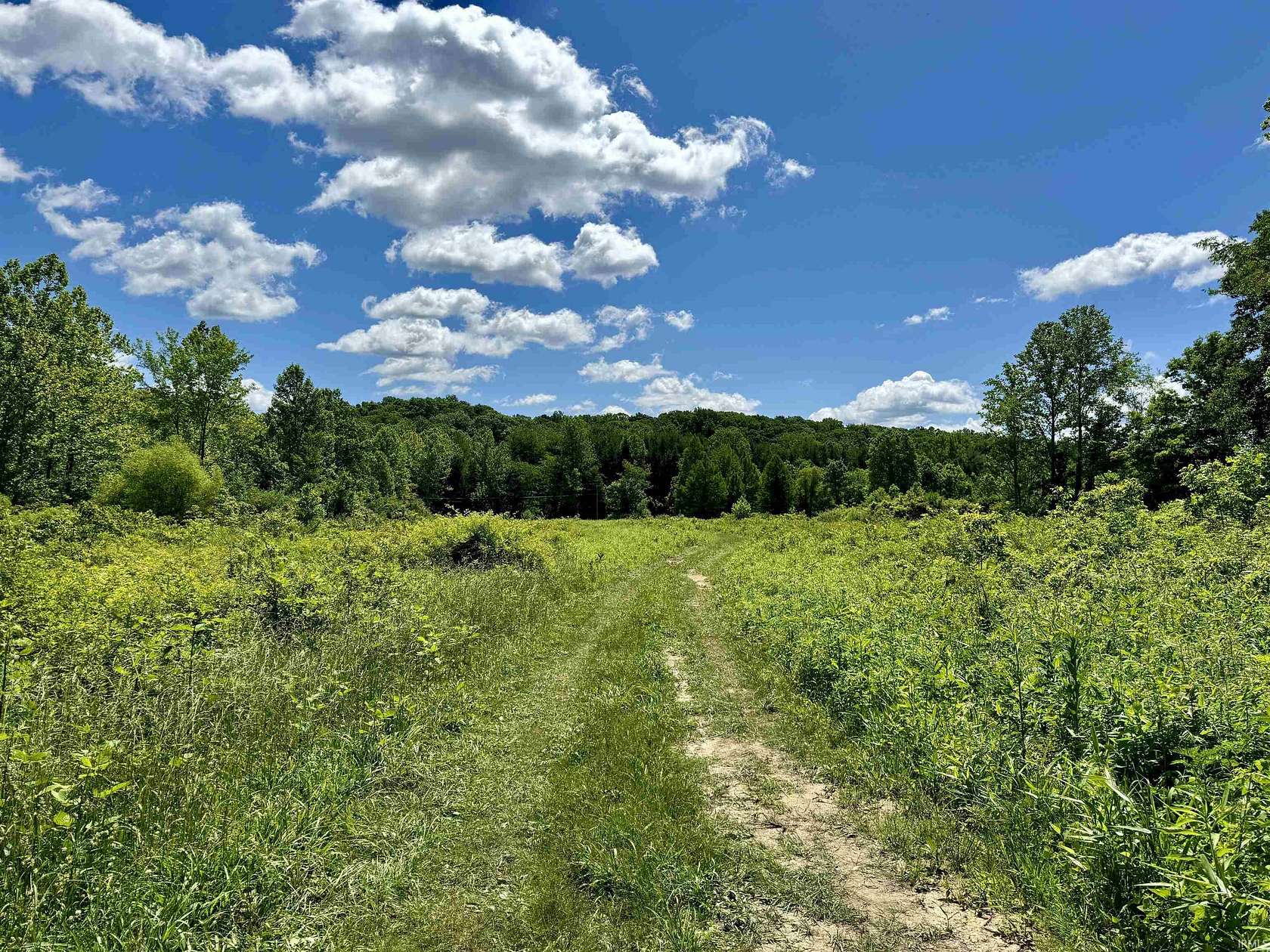 16.4 Acres of Land for Sale in Spencer, Indiana