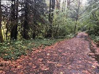 0.46 Acres of Residential Land for Sale in Rhododendron, Oregon