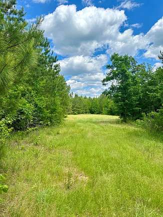 94 Acres of Recreational Land for Sale in Sallis, Mississippi