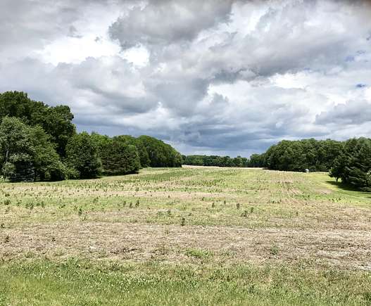 16 Acres of Land for Sale in Sturgis, Michigan
