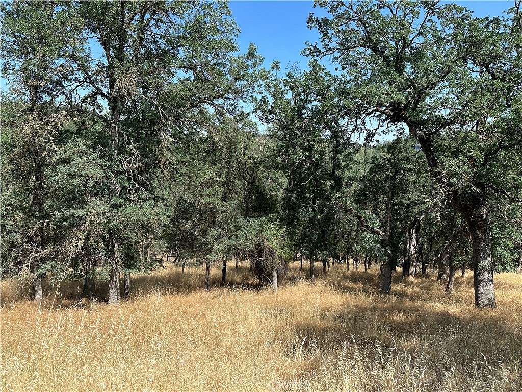 0.33 Acres of Residential Land for Sale in Hidden Valley Lake, California