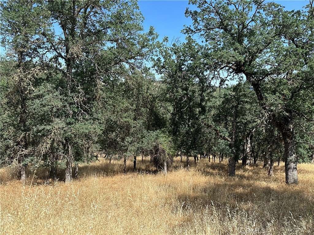 0.33 Acres of Residential Land for Sale in Hidden Valley Lake, California
