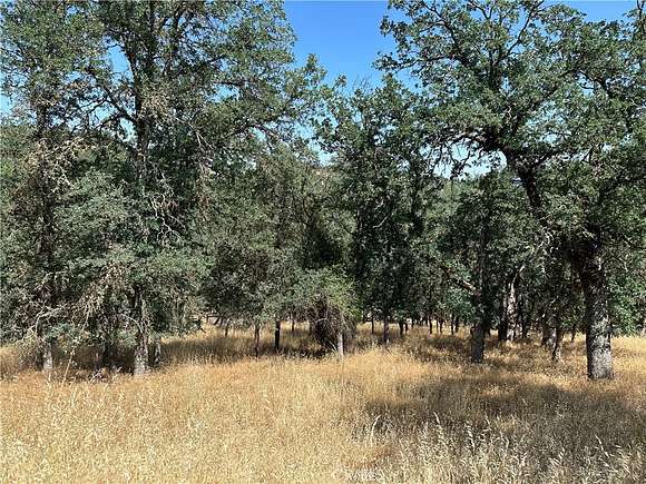 0.334 Acres of Residential Land for Sale in Hidden Valley Lake, California