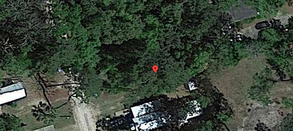 Residential Land for Sale in Crawfordville, Florida