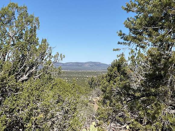 590 Acres of Recreational Land & Farm for Sale in Seligman, Arizona