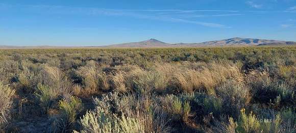 300 Acres of Recreational Land & Farm for Sale in Alturas, California