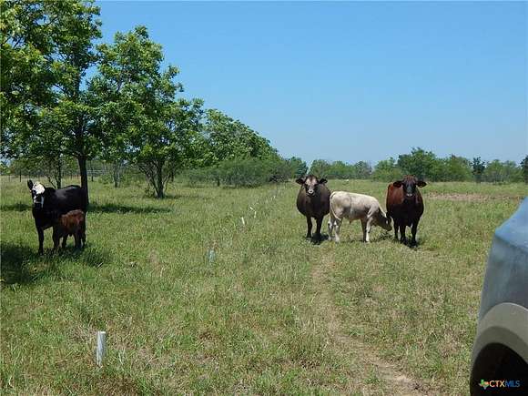 10 Acres of Residential Land for Sale in Holland, Texas