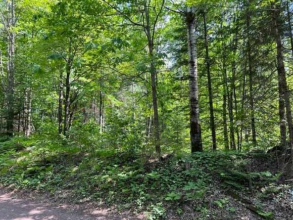2.4 Acres of Land for Sale in Mercer, Wisconsin