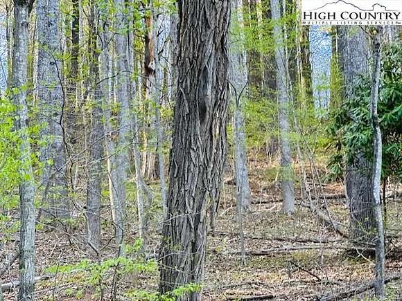 32.5 Acres of Recreational Land for Sale in West Jefferson, North Carolina
