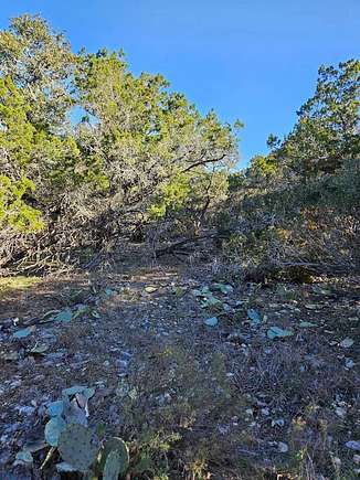 0.41 Acres of Residential Land for Sale in Lakehills, Texas