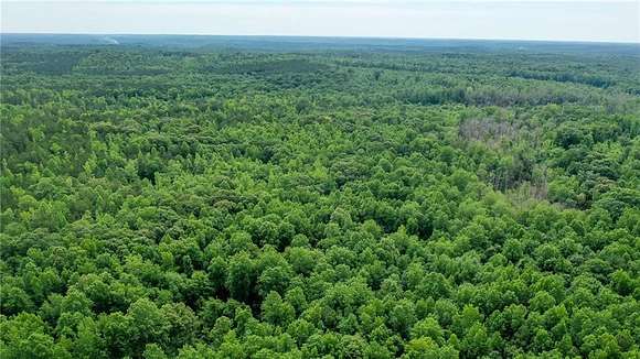 19.4 Acres of Land for Sale in Waverly, Alabama